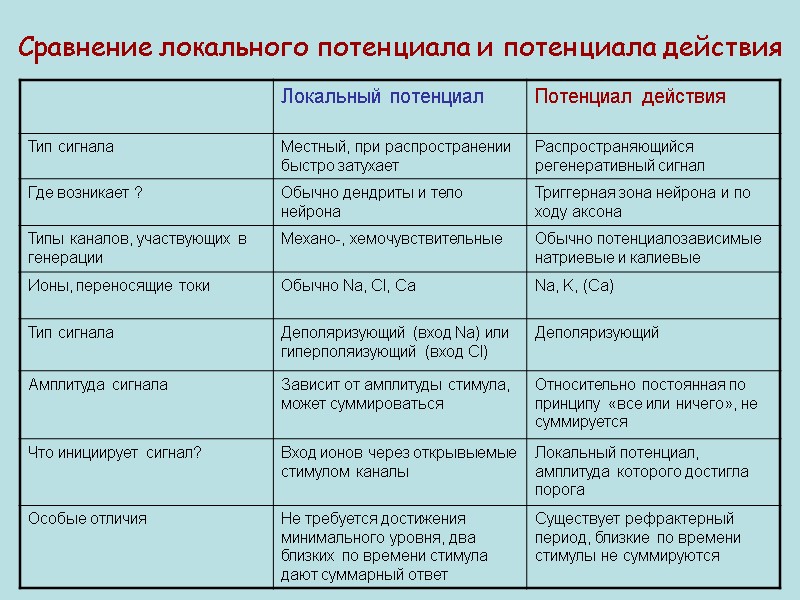 Сравнение локального потенциала и потенциала действия